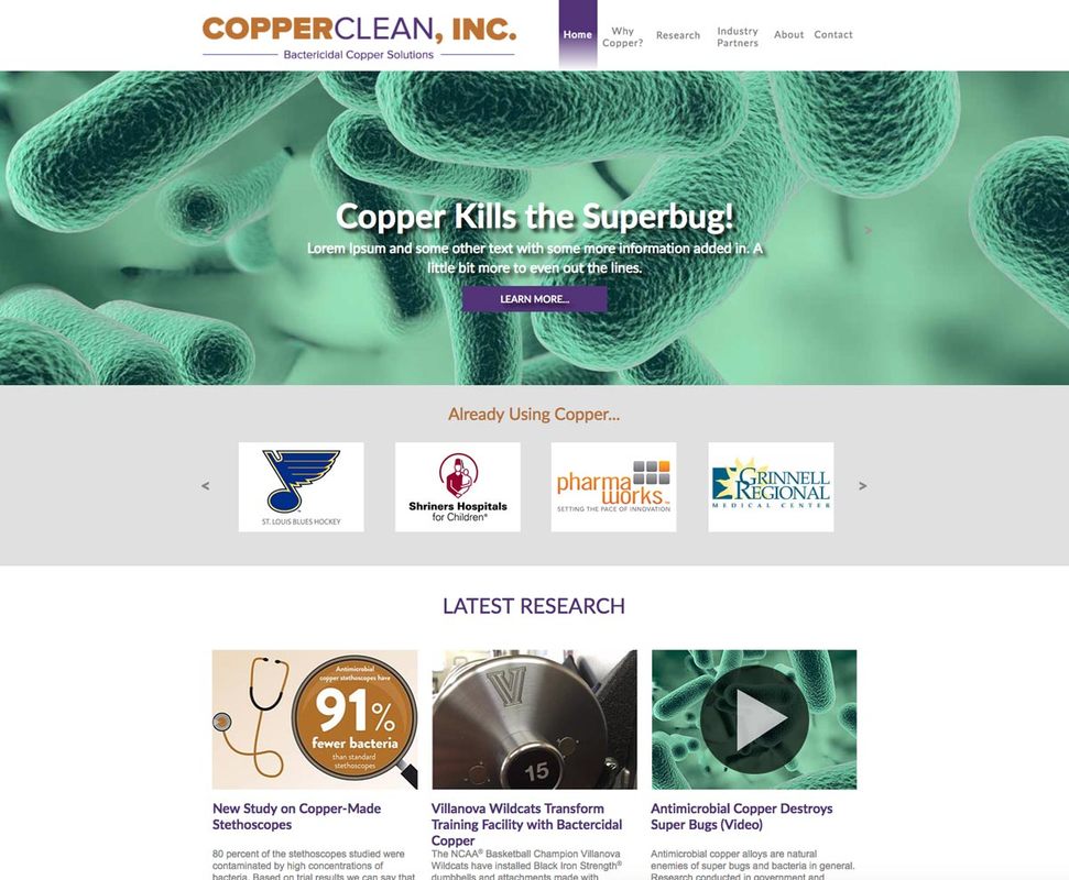 Copper Clean Website
