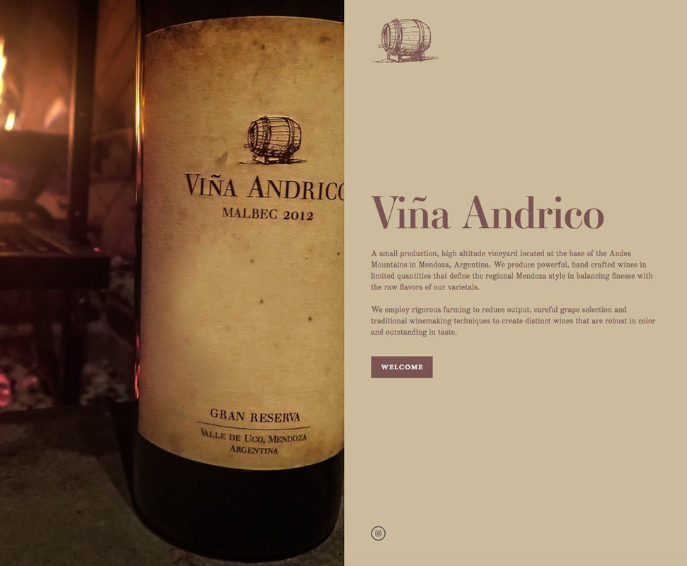 Vina Andrico website screenshot